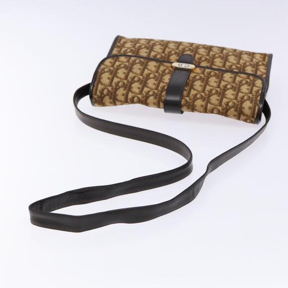 DIOR Trotter Canvas Shoulder Bag Brown Gold - Picture 7 of 12